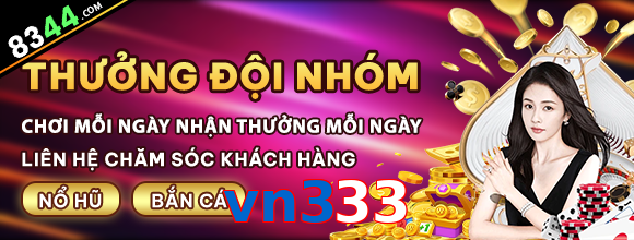 vn333