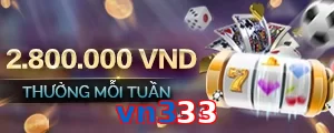 vn333