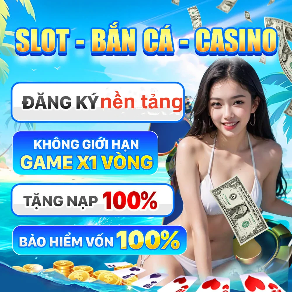 vn333
