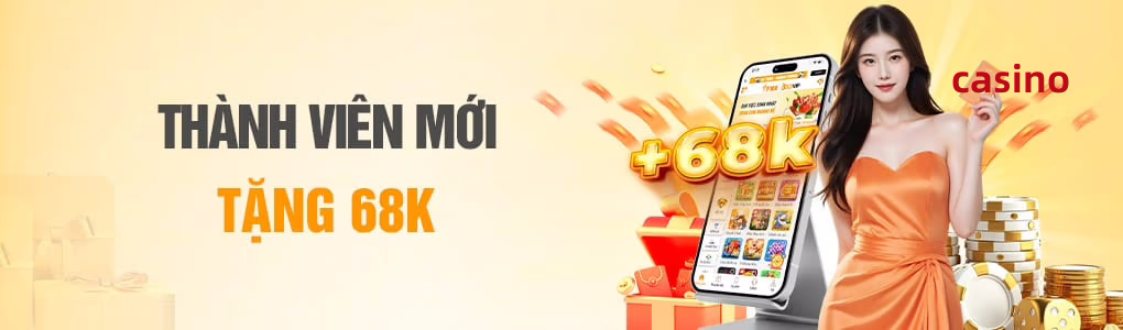 vn333