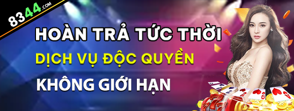 vn333
