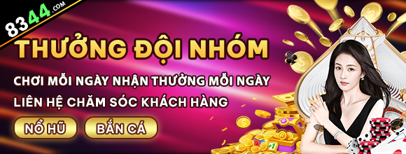 vn333