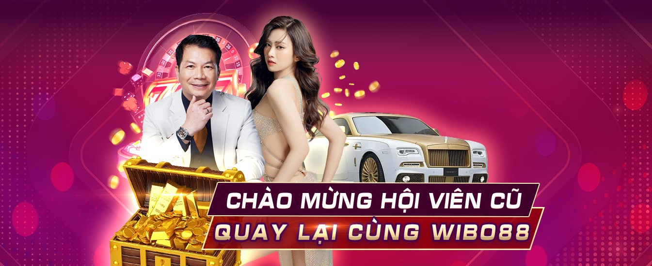 vn333