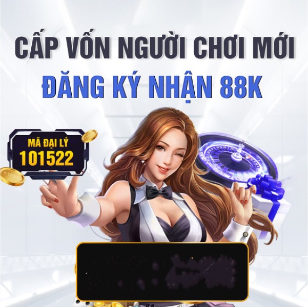 vn333