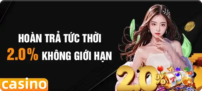 vn333