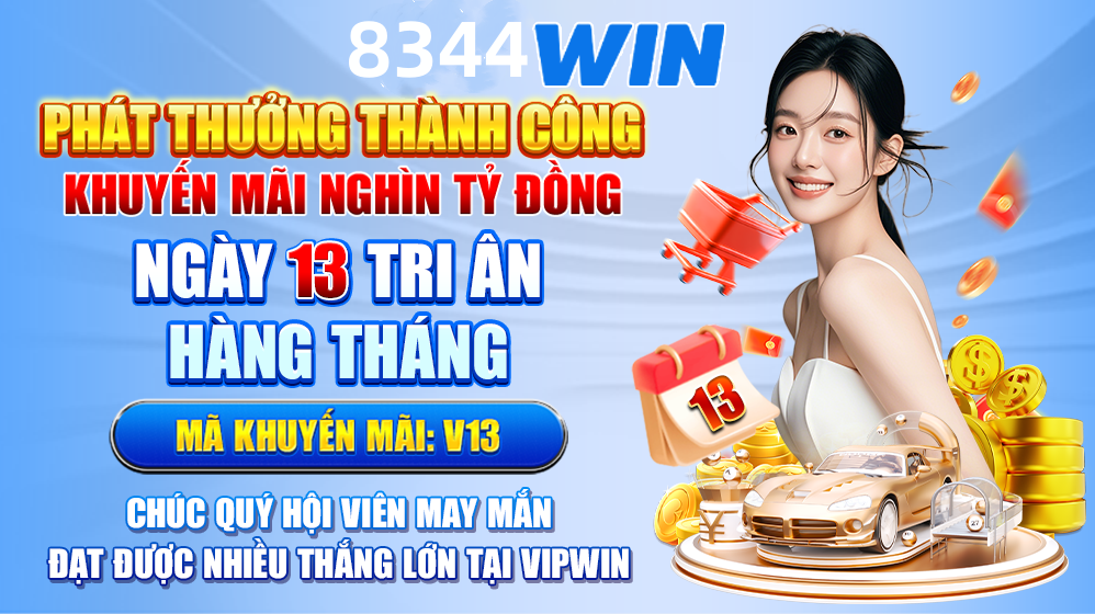 vn333
