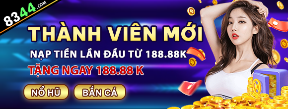 vn333