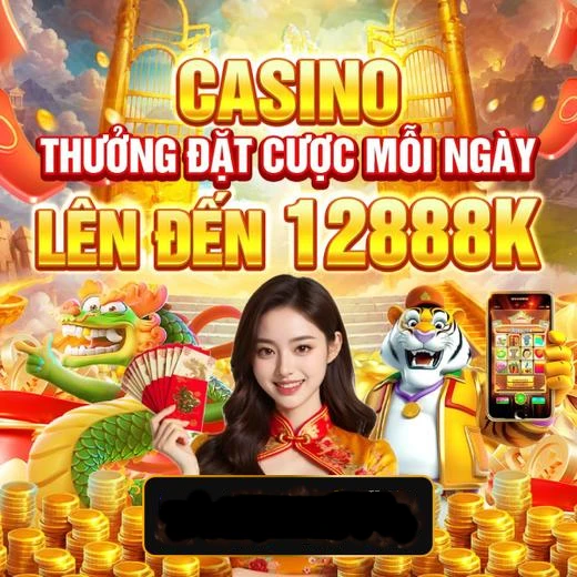 vn333