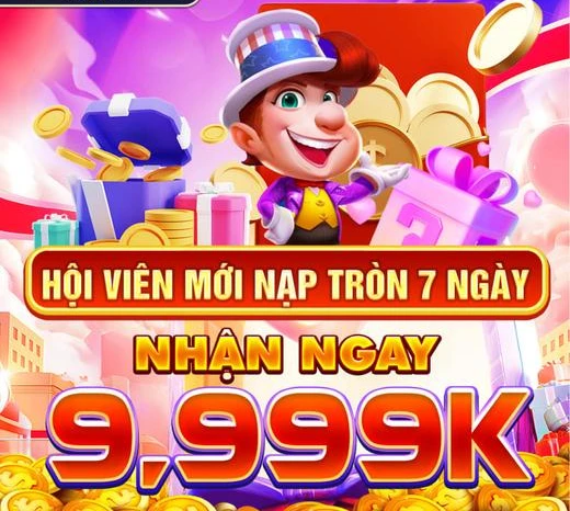 vn333