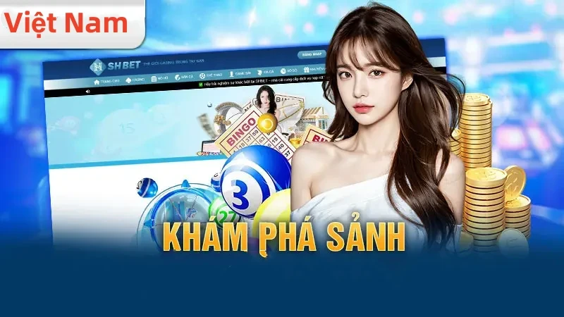 vn333