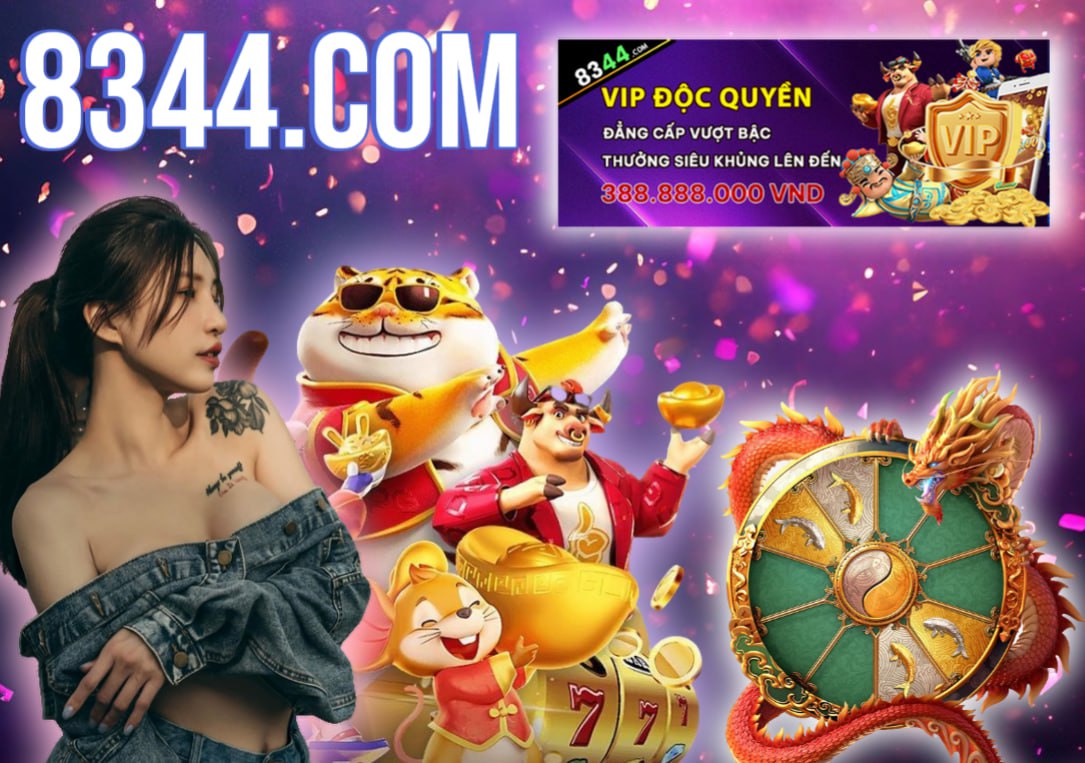 vn333
