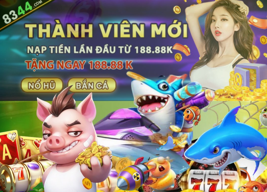 vn333
