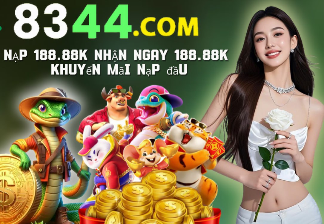 vn333