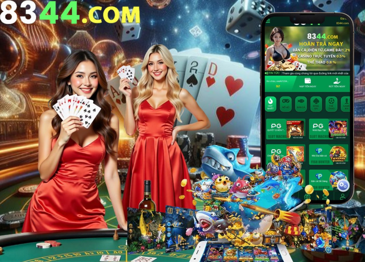 vn333